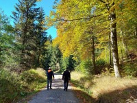 Herbstwandern um Neuhausen